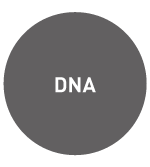DNA-methylation -Diagenode