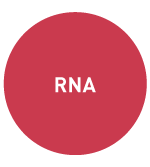 RNA-seq-Diagenode