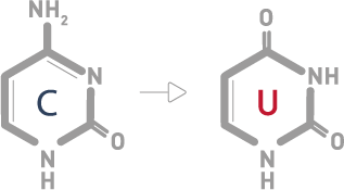 RRBS-Diagenode