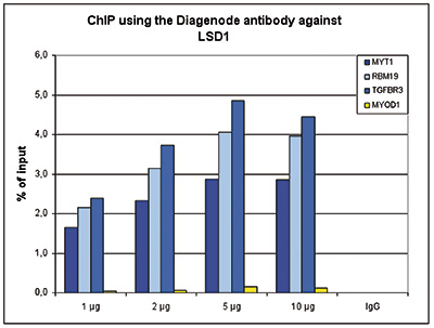 LSD1 Antibody ChIP Grade