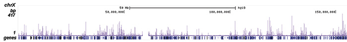 LSD1 Antibody ChIP-seq Grade