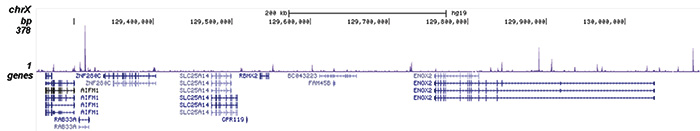 LSD1 Antibody for ChIP-seq