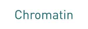 Chromatin