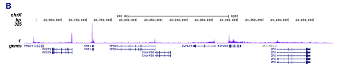 ChIP-seq figure B