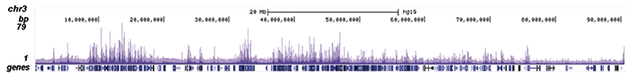 ChIP-seq figure A