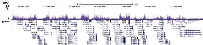 ChIP-seq figure B
