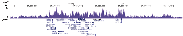 ChIP-seq figure D