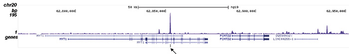 ChIP-seq figure C
