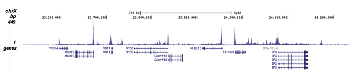 H3R17me2(asym)K18ac Antibody for ChIP-seq
