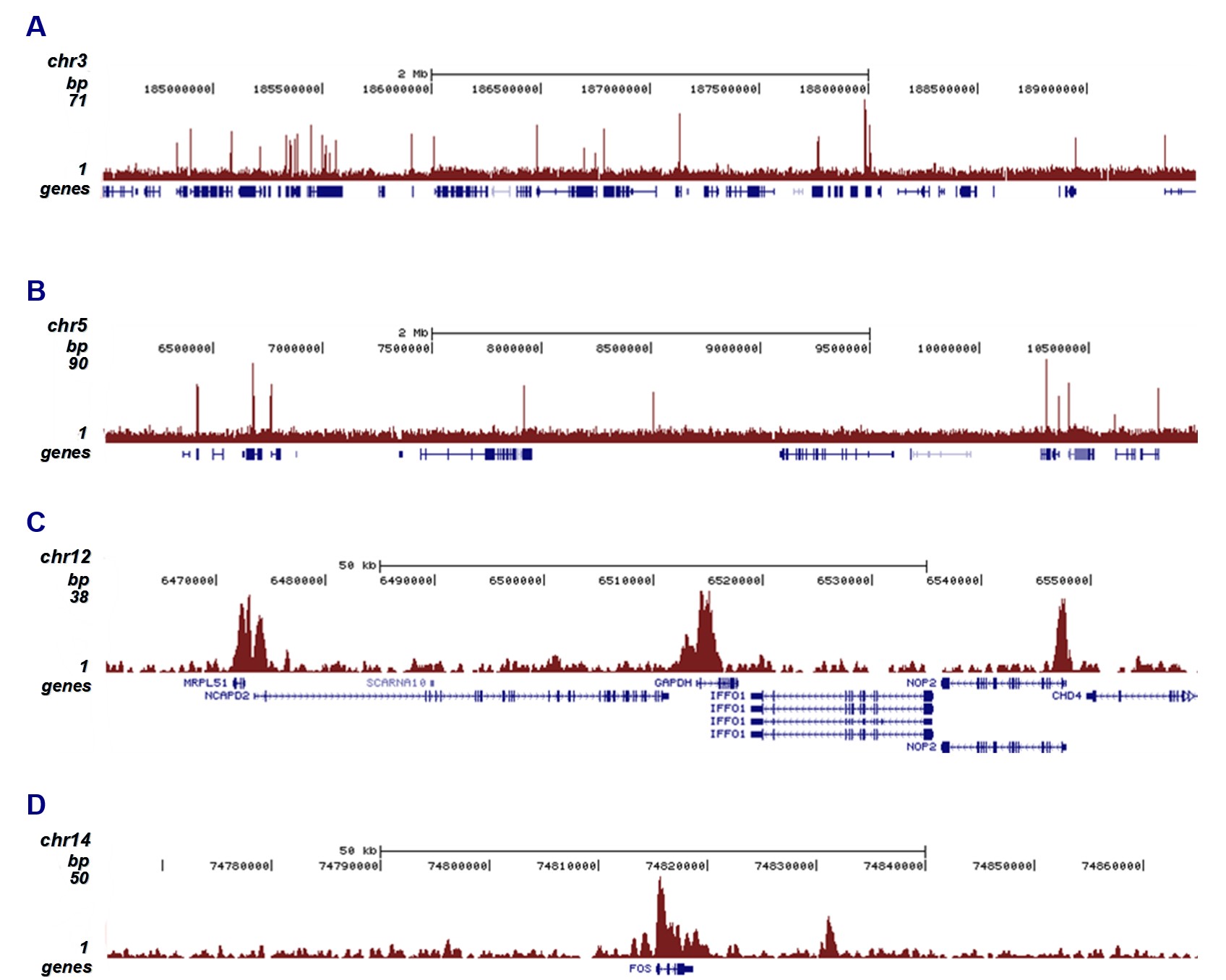 H3K4me3 Antibody ChIP-seq Grade