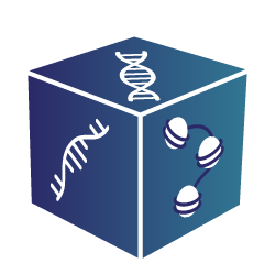 A cube showing 3 faces with DNA, RNA and chromatin on each