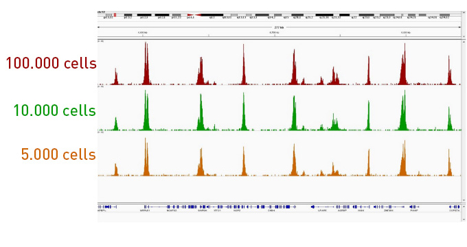 Diagenode-ChIPmentation-sequencing