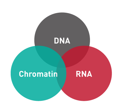 DNA-RNA-Chromatin-Diagenode