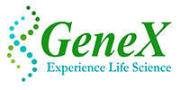 Genex India Bioscience Pvt.Ltd. logo