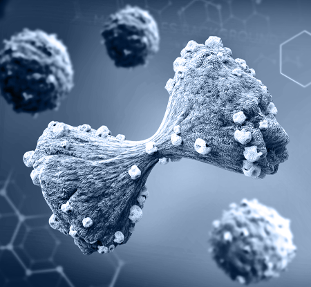 DNA Methylation