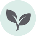 plant-sonication-Diagenode