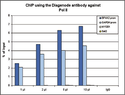 Pol II Antibody ChIP Grade  
