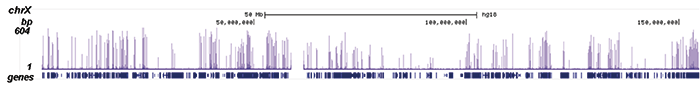 Pol II Antibody ChIP-seq Grade  