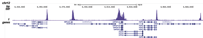 Pol II Antibody for ChIP-seq assay