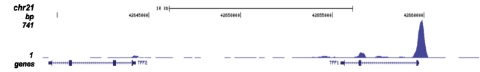 ER Antibody for ChIP-seq 