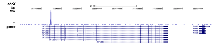 ER Antibody validated in ChIP-seq