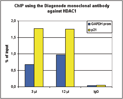 HDAC1 Antibody ChIP Grade