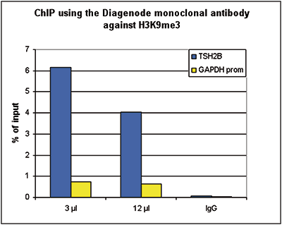 H3K9me3 Antibody ChIP Grade