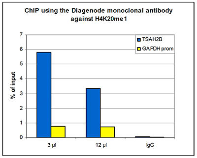H4K20me1 Antibody ChIP Grade