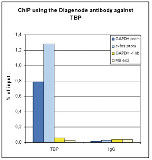 TBP Antibody ChIP Grade