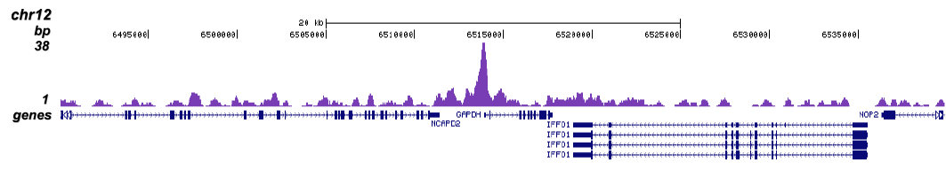 TBP Antibody - ChIP-seq Grade