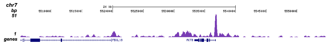 TBP Antibody for ChIP-seq assay