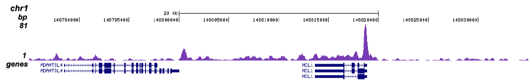 TBP Antibody validated in ChIP-seq