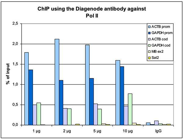 Pol II Antibody ChIP Grade