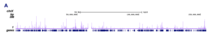 Pol II Antibody ChIP-seq Grade