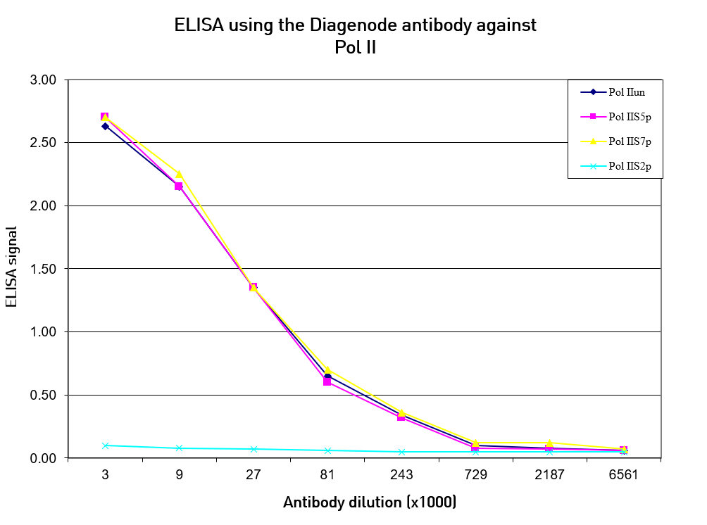 Pol II Antibody ELISA validation