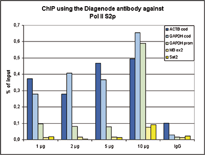 Pol II S2p Antibody ChIP Grade
