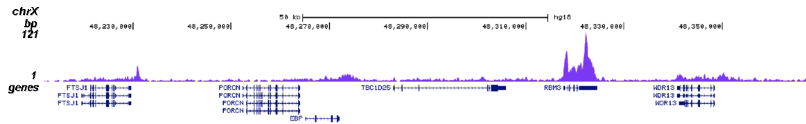 Pol II S2p Antibody for ChIP-seq