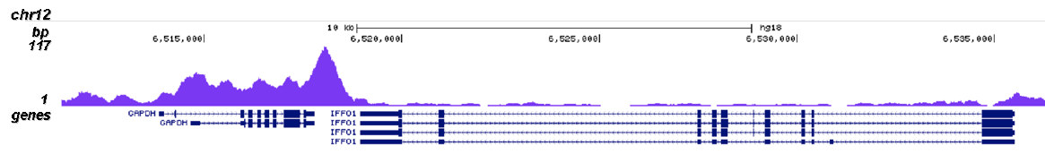 Pol II S2p Antibody for ChIP-seq assay