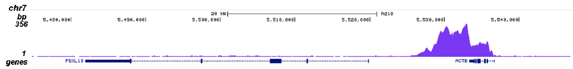 Pol II S2p Antibody validated in ChIP-seq