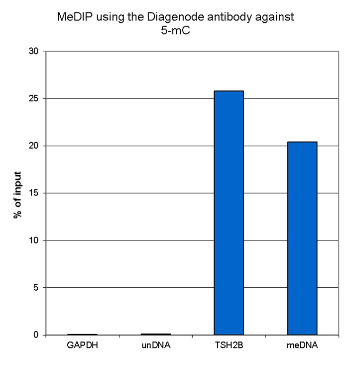 5-methylcytosine (5-mC) Antibody validated in MeDIP