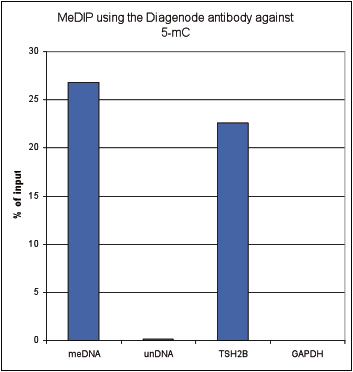 5-methylcytosine (5-mC) Antibody validated in MeDIP