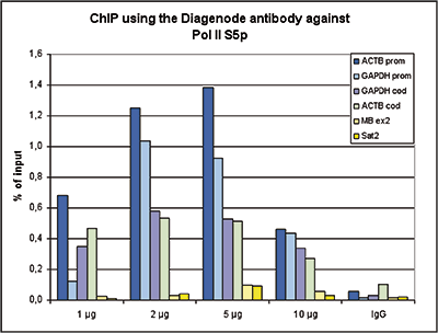 Pol II S5p Antibody ChIP Grade
