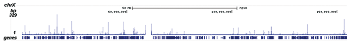 Pol II S5p Antibody ChIP-seq Grade