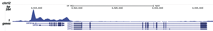 Pol II S5p Antibody for ChIP-seq assay 