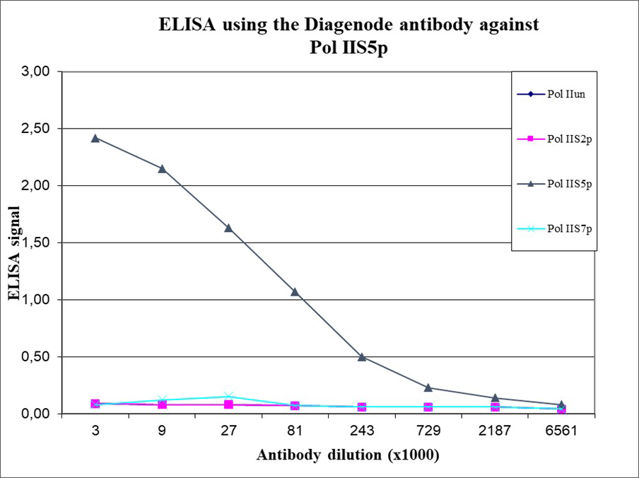 Pol II S5p Antibody ELISA validation