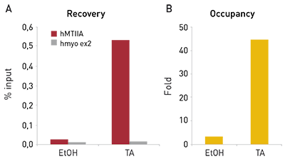 GR Antibody ChIP Grade