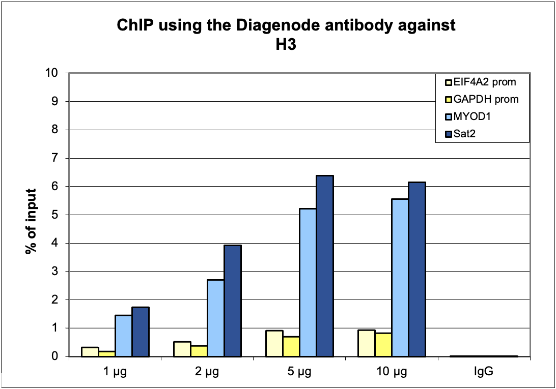 H3pan Antibody ChIP Grade