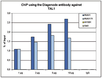 TAL1 Antibody ChIP Grade