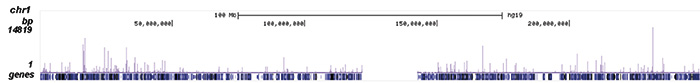 NRF1 Antibody ChIP-seq Grade