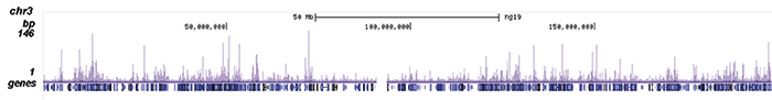 ZMYM3 Antibody ChIP-seq Grade